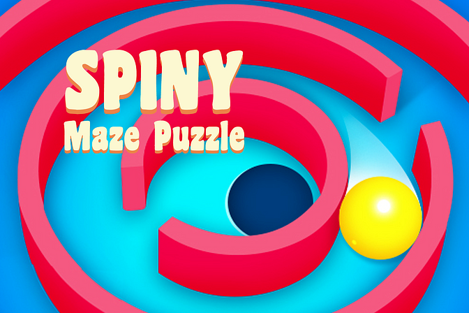 Spinny Maze Puzzle