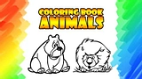 Coloring Book - Animals