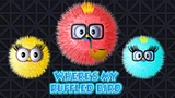 Where is my ruffled bird